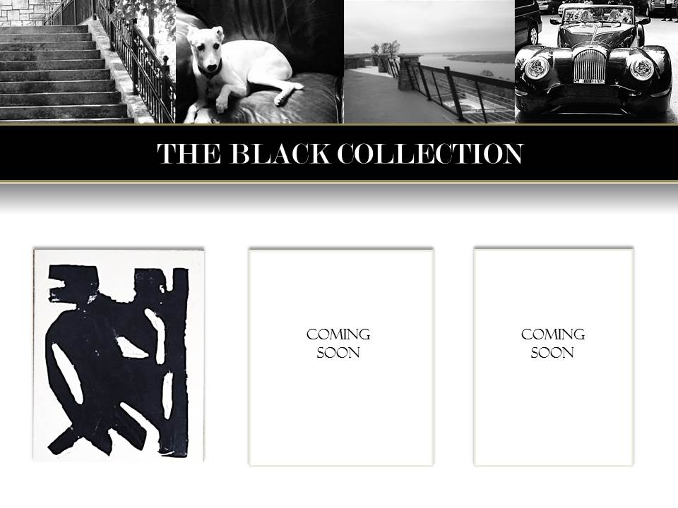 ART MODERN LLC -HEADER -COLOR PAGES black