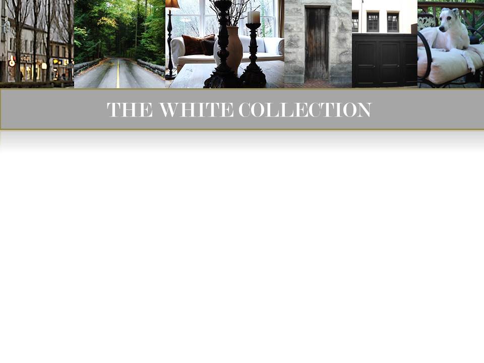 ART MODERN LLC -HEADER -COLOR PAGES white